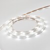 Миниатюра фото светодиодная лента 220в 24led/м 6000к ip65 ltc nl-h1-2w | 220svet.ru